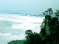 �Sʯկժ���_